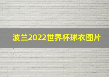 波兰2022世界杯球衣图片