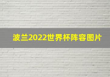 波兰2022世界杯阵容图片