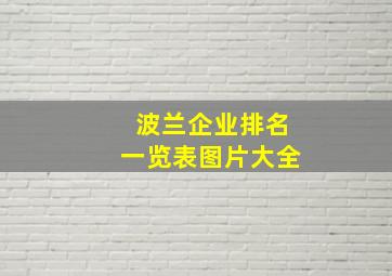 波兰企业排名一览表图片大全