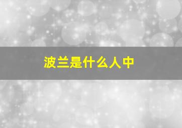 波兰是什么人中