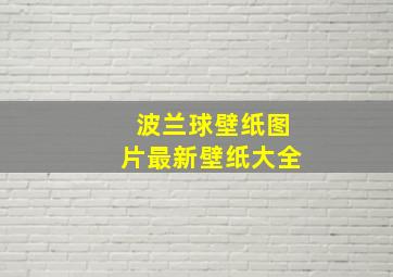 波兰球壁纸图片最新壁纸大全