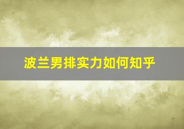 波兰男排实力如何知乎