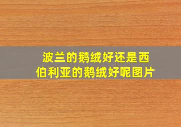 波兰的鹅绒好还是西伯利亚的鹅绒好呢图片