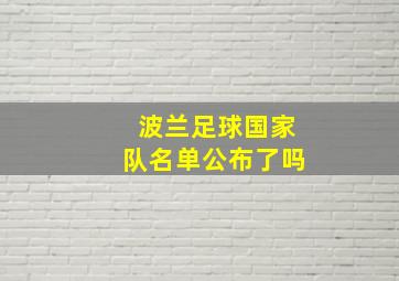 波兰足球国家队名单公布了吗