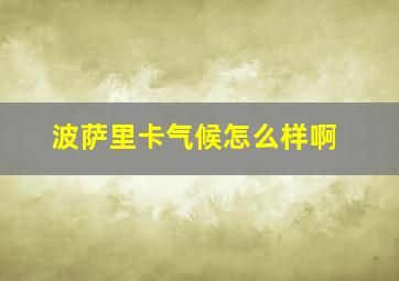 波萨里卡气候怎么样啊