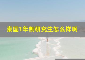 泰国1年制研究生怎么样啊