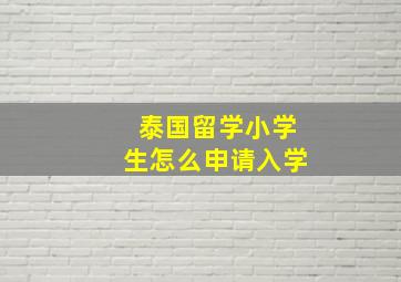 泰国留学小学生怎么申请入学