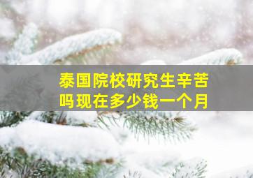 泰国院校研究生辛苦吗现在多少钱一个月