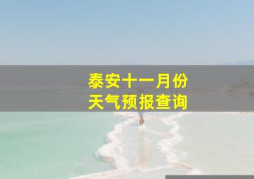 泰安十一月份天气预报查询