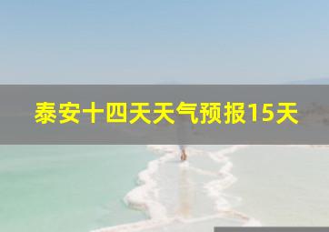 泰安十四天天气预报15天