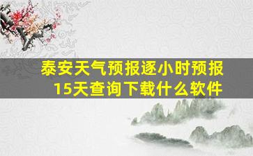 泰安天气预报逐小时预报15天查询下载什么软件