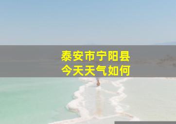 泰安市宁阳县今天天气如何