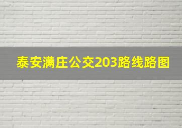 泰安满庄公交203路线路图