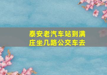 泰安老汽车站到满庄坐几路公交车去