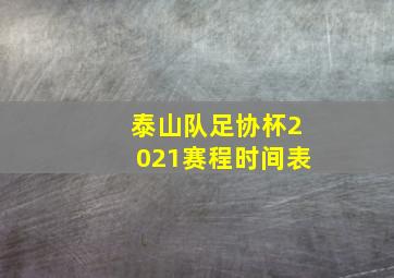 泰山队足协杯2021赛程时间表