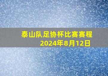 泰山队足协杯比赛赛程2024年8月12日