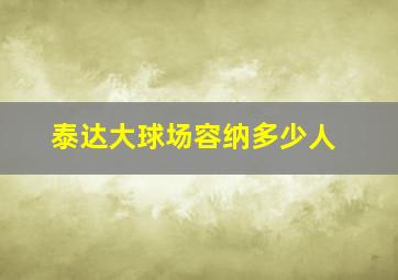 泰达大球场容纳多少人