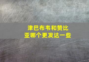 津巴布韦和赞比亚哪个更发达一些