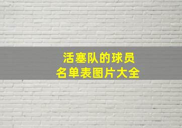 活塞队的球员名单表图片大全