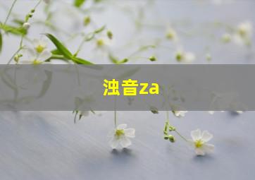 浊音za