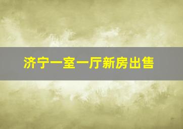 济宁一室一厅新房出售