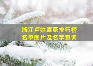 浙江卢姓富豪排行榜名单图片及名字查询