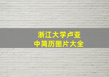 浙江大学卢亚中简历图片大全