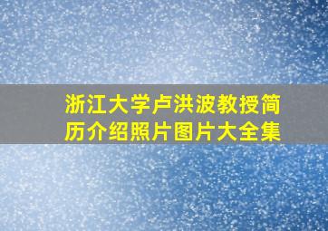 浙江大学卢洪波教授简历介绍照片图片大全集