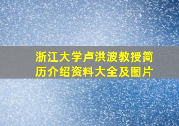 浙江大学卢洪波教授简历介绍资料大全及图片