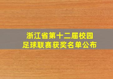 浙江省第十二届校园足球联赛获奖名单公布