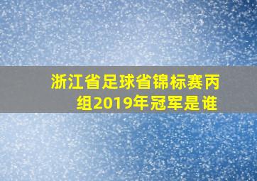 浙江省足球省锦标赛丙组2019年冠军是谁