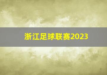 浙江足球联赛2023