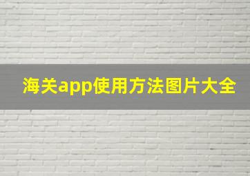 海关app使用方法图片大全