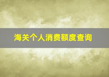 海关个人消费额度查询