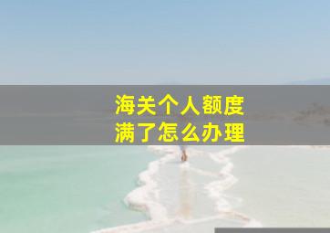 海关个人额度满了怎么办理