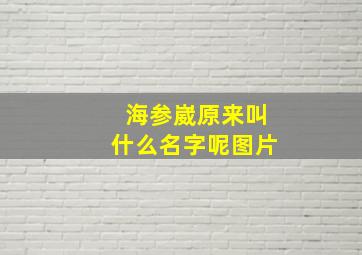 海参崴原来叫什么名字呢图片