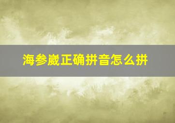 海参崴正确拼音怎么拼