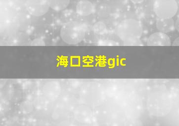 海口空港gic