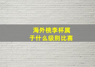 海外桃李杯属于什么级别比赛