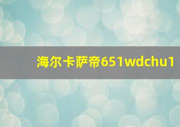 海尔卡萨帝651wdchu1