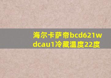 海尔卡萨帝bcd621wdcau1冷藏温度22度