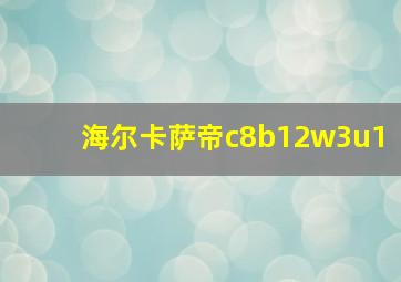 海尔卡萨帝c8b12w3u1