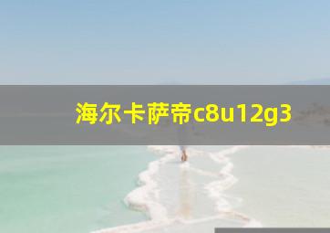 海尔卡萨帝c8u12g3