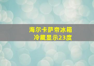 海尔卡萨帝冰箱冷藏显示23度