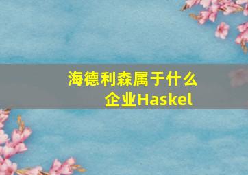 海德利森属于什么企业Haskel