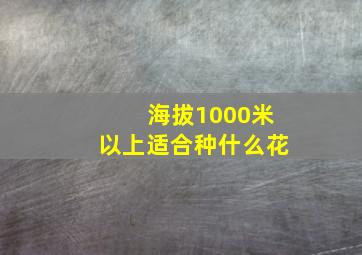 海拔1000米以上适合种什么花