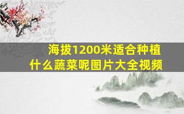 海拔1200米适合种植什么蔬菜呢图片大全视频