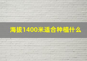 海拔1400米适合种植什么