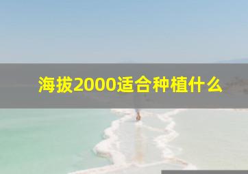 海拔2000适合种植什么