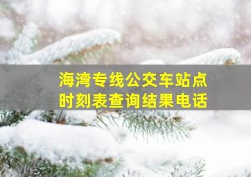 海湾专线公交车站点时刻表查询结果电话